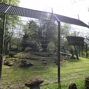 Eurasian lynx enclosure