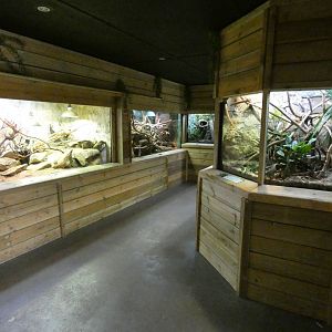 Reptile house (2)