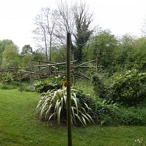 Ring-tailed lemur enclosure