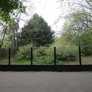 Bush dog enclosure
