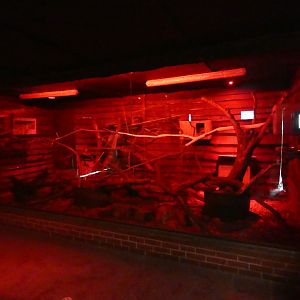 Northern Luzon cloud rat enclosure