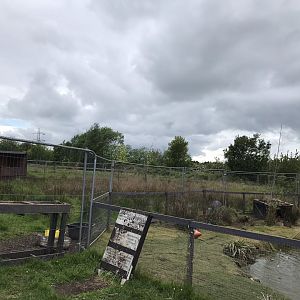 Emu enclosure (2) (Ricarton garden centre)