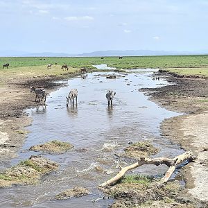 Amboseli National Park