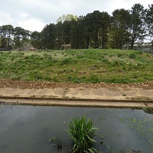 Visayan warty pig enclosure (2)