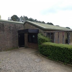 Visayan warty pig house