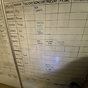 Former enrichment chart (evening) 180322