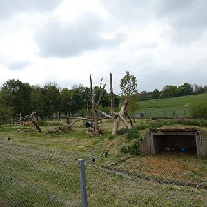 Sri Lankan sloth bear enclosure