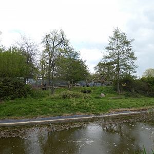 Chimpanzee enclosure