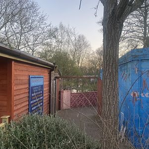 Land of the Lions (early morning) 190322