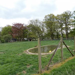 Wattled crane enclosure