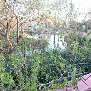 Land of the Lions (early morning) - view towards flamingos 190322