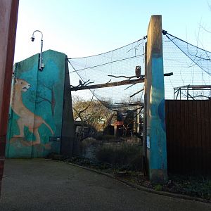 Land of the Lions (early morning) 190322