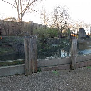 Land of the Lions (early morning) 190322