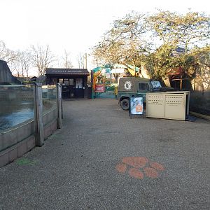 Land of the Lions (early morning) 190322