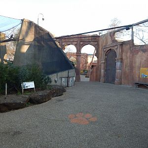 Land of the Lions (early morning) 190322