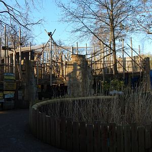 Land of the Lions (early morning) 190322