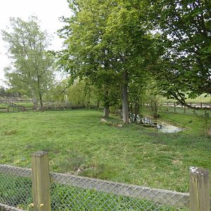 Pygmy hippo outdoor enclosure (2)