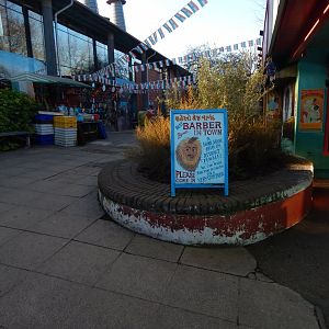 Land of the Lions (early morning) 190322