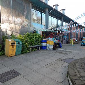 Land of the Lions (early morning) 190322