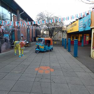 Land of the Lions (early morning) 190322