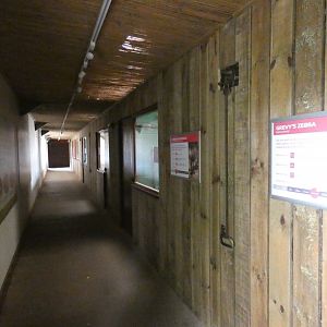 Zebra house viewing area