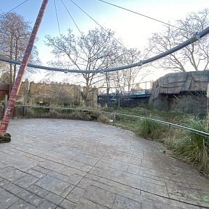 Land of the Lions (early morning) 190322