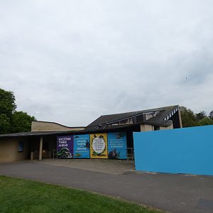 Old dolphin and sea lion house