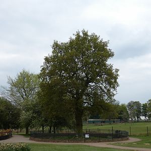 Old red panda enclosure