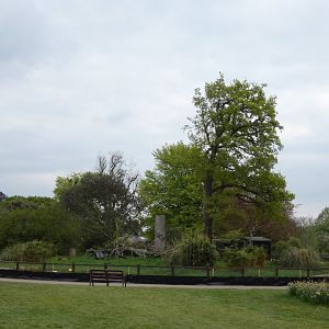 New Red panda enclosure