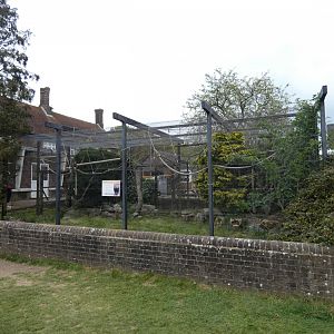 White-faced saki monkey enclosure