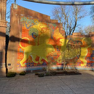 Land of the Lions (early morning) 190322