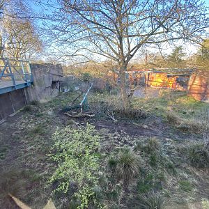 Land of the Lions (early morning) 190322