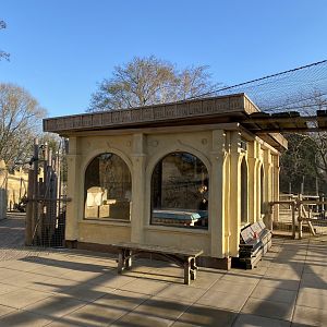 Land of the Lions (early morning) - Grey langur exhibit 190322