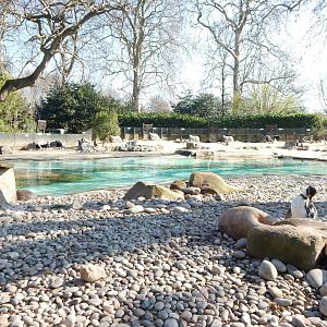 Penguin Beach (early morning) 190322