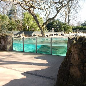 Penguin Beach (early morning) 190322