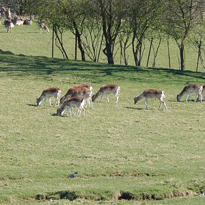 Passage through Asia 190322