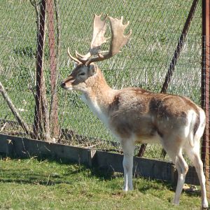 Passage through Asia 190322