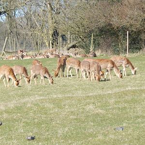 Passage through Asia 190322