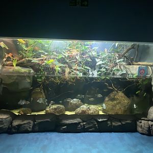 Aquarium exhibit 190322