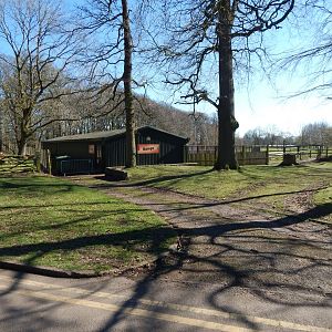 Bongo exhibit 190322