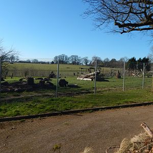 Sloth bear enclosure 190322