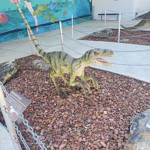 Cox Science Center & Aquarium (2021) - Outdated Dinosaur Statues