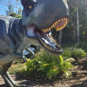 Cox Science Center & Aquarium (2021) - Outdated Dinosaur Statues