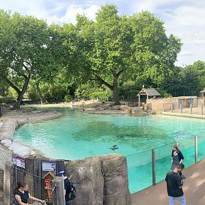 Penguin exhibit panorama