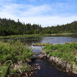 Beaver/River Otter exhibit (I think)