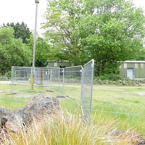 Giraffe enclosure, May 2022