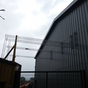 Marmoset tunnels from Chimpanzee house to outdoor enclosure