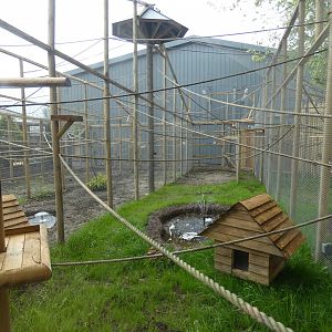 Callitrichids enclosures