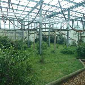 Chimpanzee enclosure