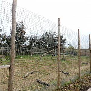 Cheetah enclosure